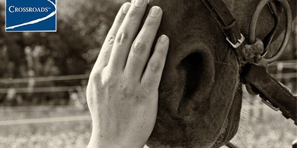 hand on horses snoot at Equine Therapy