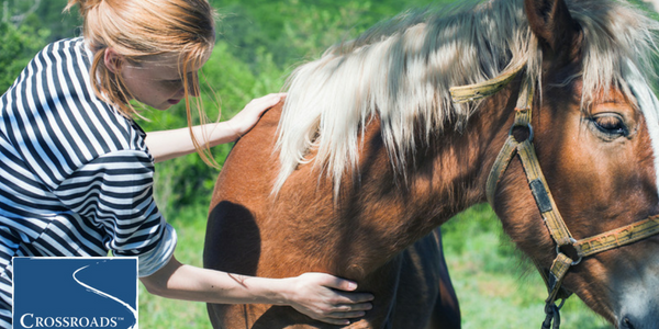 woman petting horse for equine assisted therapy